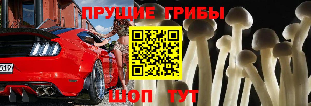 Псилоцибиновые грибы прущие грибы  Псилоцибиновые грибы ЛСД  цены наркотик  Вход с VPN  Елабуга 